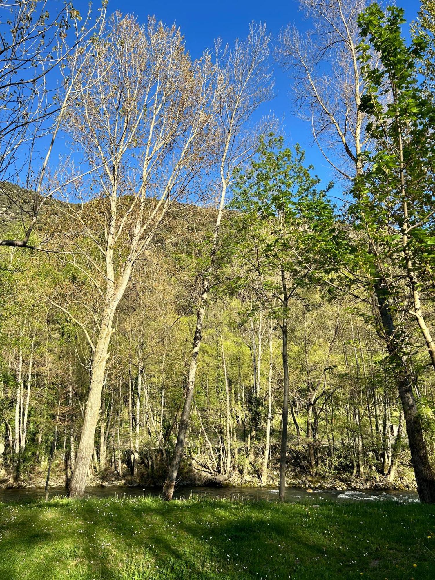 Camping Noguera Pallaresa Sort Luaran gambar